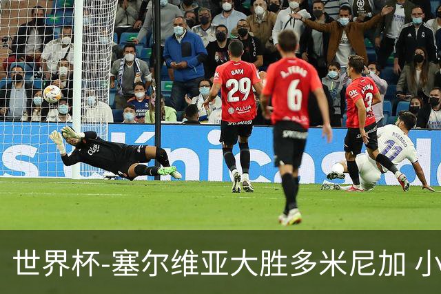 世界杯-塞尔维亚大胜多米尼加 小组第二进八强