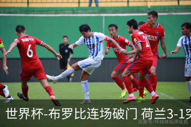 世界杯-布罗比连场破门 荷兰3-1突尼斯获小组头名将战摩洛哥