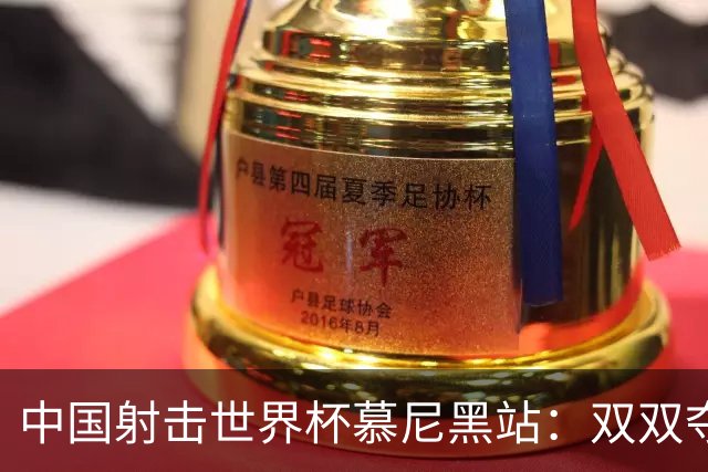 中国射击世界杯慕尼黑站：双双夺冠，王子菲与盛李豪的精彩表现！