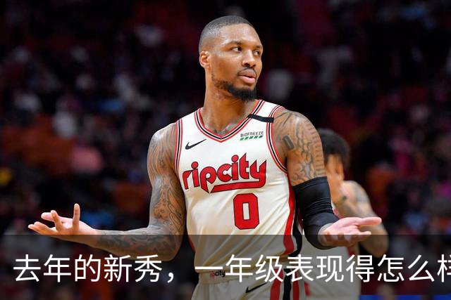去年的新秀，一年级表现得怎么样呢【上】