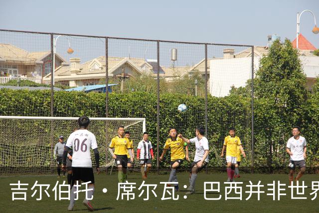 吉尔伯托·席尔瓦：巴西并非世界杯夺冠热门，安帅有着丰富的经验
