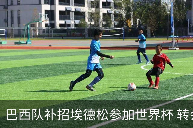 巴西队补招埃德松参加世界杯 转会曼联事宜或被推迟
