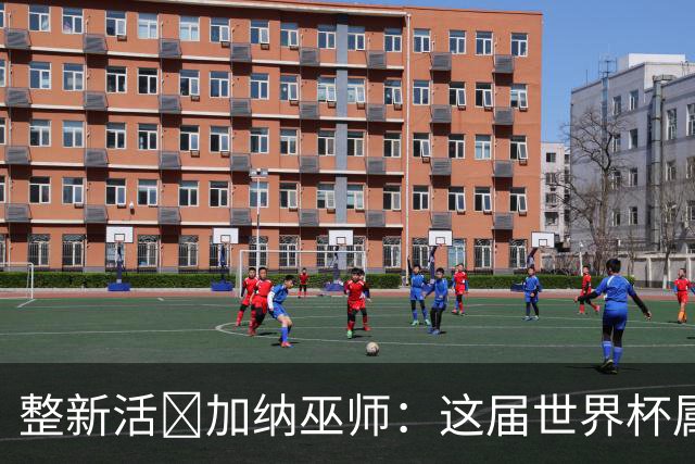 整新活😅加纳巫师：这届世界杯属于C罗葡萄牙 意外诅咒了土耳其